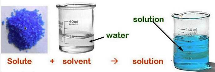 solute-solvent