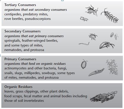 decomposer examples